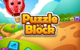 Puzzle Block - Brain Teaser Puzzle Online Game Puzzle Game