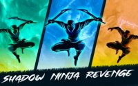 Shadow Ninja Revenge - Action Platformer Online Game