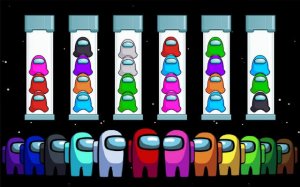 Impostor Sort Puzzle Online Game - Logic Puzzle Game