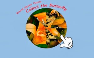 Butterfly Circle Puzzle