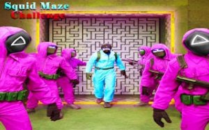 Maze Puzzle Adventure Challenge