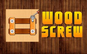 Wood Screw Puzzle Game Online - Puzzle Game