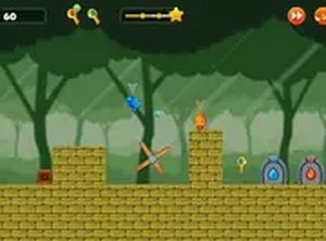 Twin Path Color Quest