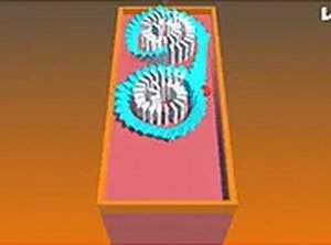 Domino Path Puzzle